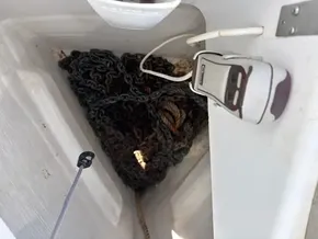 Anchor chain and rope in Jeanneau Sun Odyssey 440, 2019 model, boat compartment.