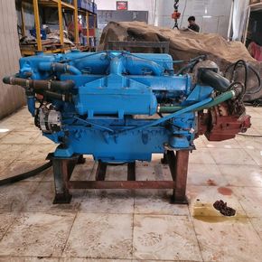 Ford raw water cooled engine for boating