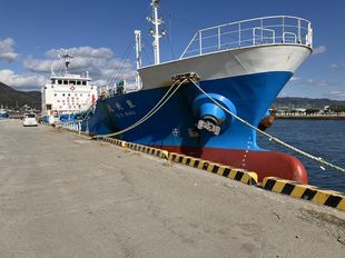 IMO II Caustic Soda tanker built 1996 Dh/Db 935 mtons  Dwt