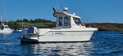 Arvor 230