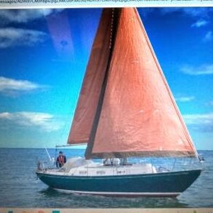 Twister 28 for sale