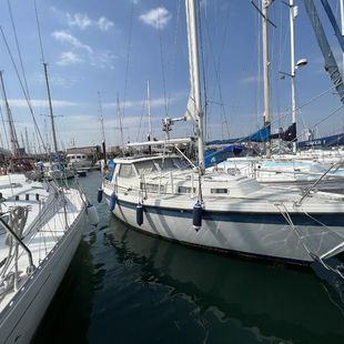 LM30 Sailing Boat (Motorsailor)