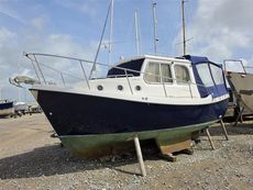 2007 Trusty T23