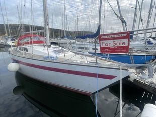 1981 Tyler Boat Co. 31