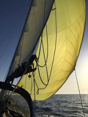 Cruising chute going upwind