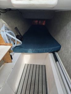 Woods Elf - Reduced Price
