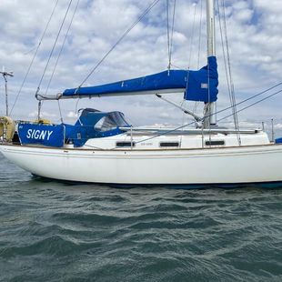 Twister -  "Signy"