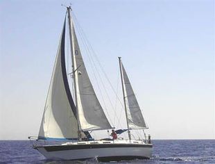 1984 COLVIC COUNTESS 33