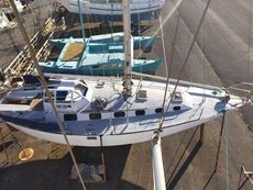 2015 Custom Built Trielen TRIELEN