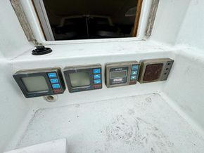 IMG 4704