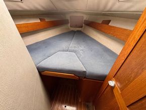 Westerly Fulmar  - Forward Cabin