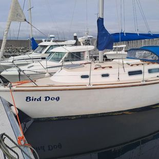Westerly Griffon