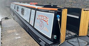 Otter Yellow 1/12th (4 Week)  Share