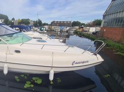 Sunline 31