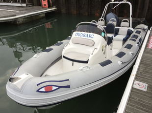 RIBEYE 5.5m for sale
