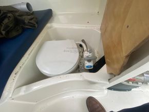 Merry Fisher 625 Legende  - Heads