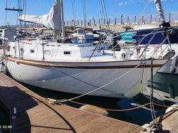 1985 Saltram Saga 31