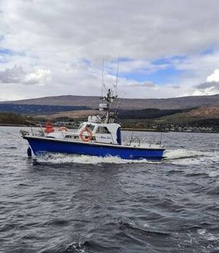 1971 Mitchell Marine 31 MKII