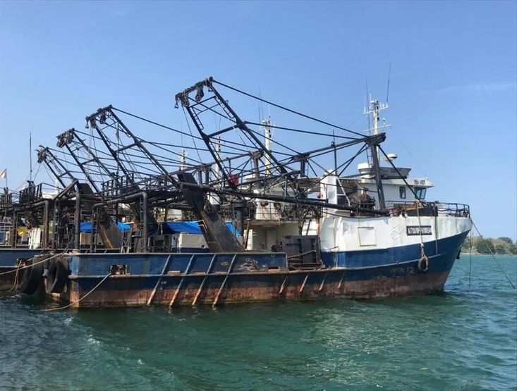 PRAWN TRAWLERS - BUILT IN AUSTRALIA - 4 FOR SALE