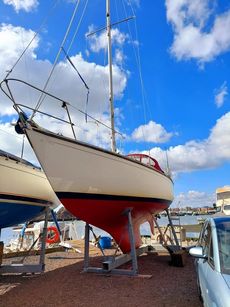 “Kehaar” Hurley 30