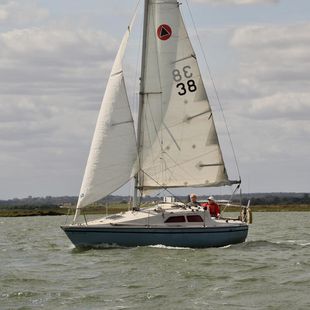 Hunter Delta 25