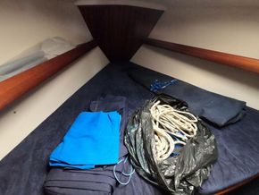Bavaria 36 Holiday - Forward Cabin
