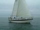 1986 Barbican 33