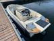 2023 Naumatec E-Tender 460