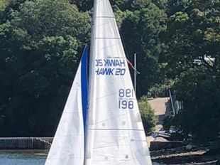 Hawk 20ft