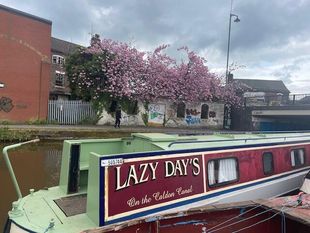 LW1060 Lazy Days