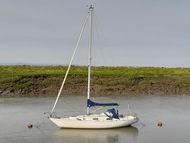 Contessa 32