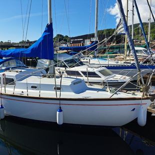 Trident 24