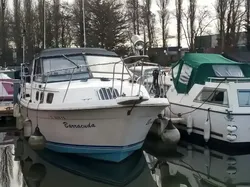 Carver 2807