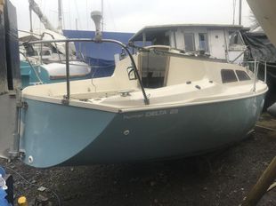 Hunter delta 25