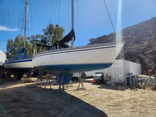 Hunter Legend 37
