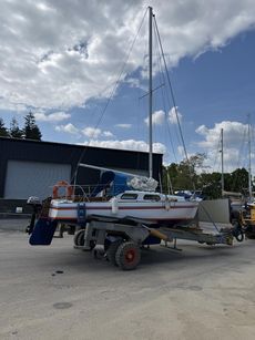 Kestrel 24