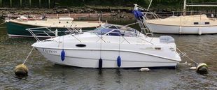 Sealine S23