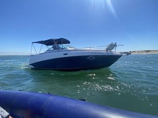 Rinker 250 Fiesta Vee