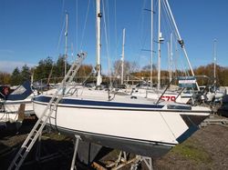 1982 Maxi 84