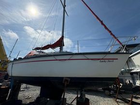 1981 dufour 2800 sail 9449842 20240717083305960 1 XLARGE