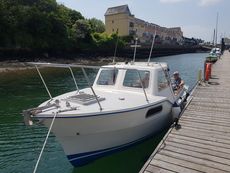 colvic seaworker manfriday with mooring 
