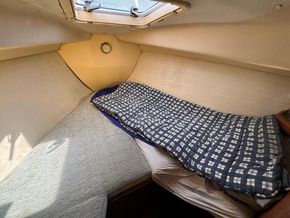 2001 hunter legend 290 sail 9479674 20240724004204161 1 XLARGE