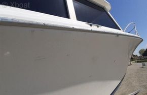 BERTRAM 28