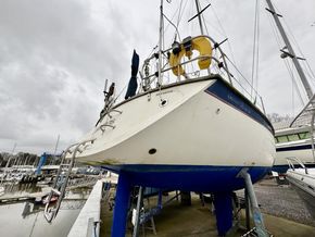 IMG 0713