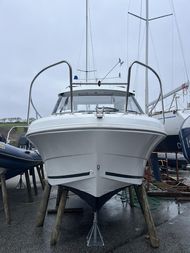 Merry Fisher 595