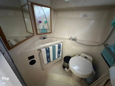 1992 Sea Ray 350 Express Bridge
