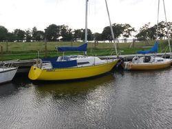 Foxhound 24,