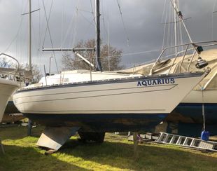 1987 Seawolf 26