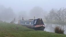 NB Kingfisher No 14