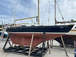 Contessa 26